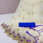 Very beautiful super net fabric embroidery and mirror work saree